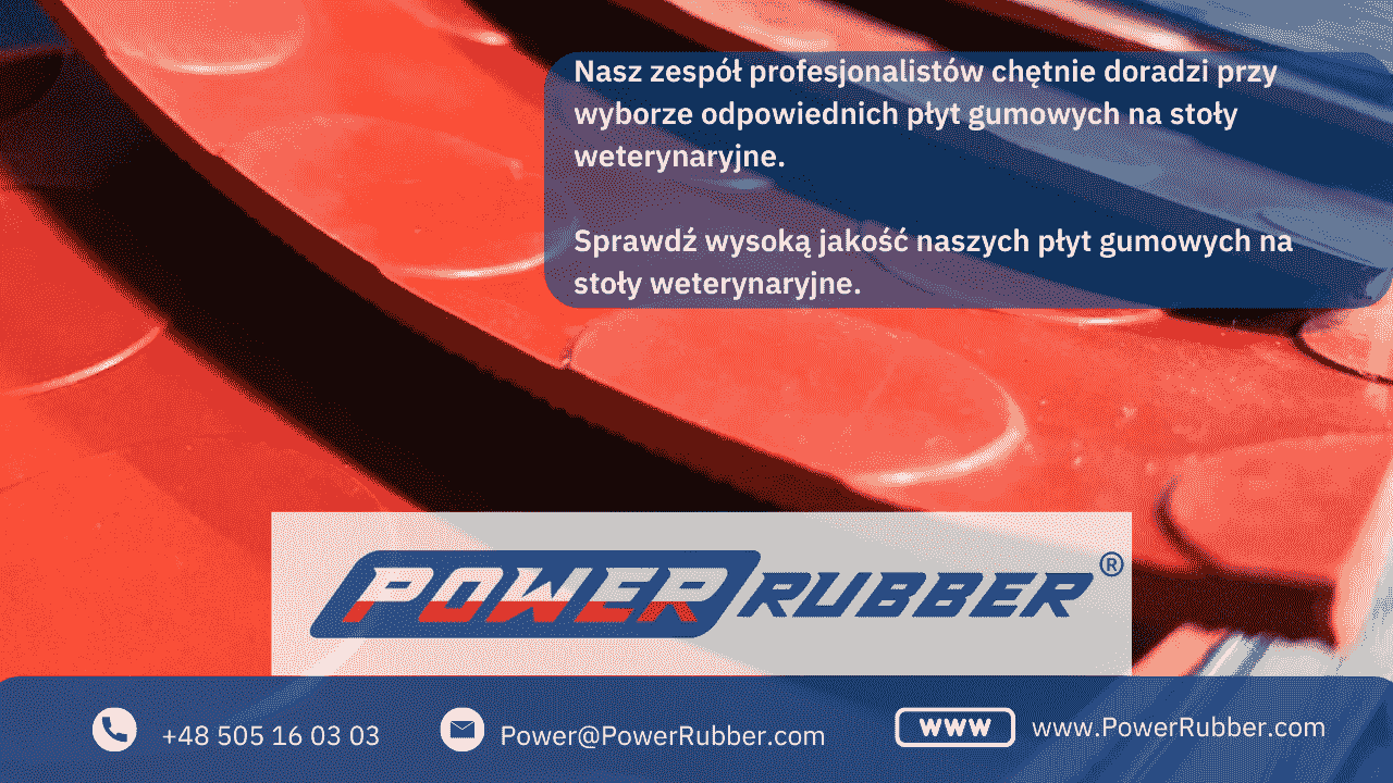 rubber mat for the veterinary table