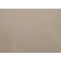 Beige NR plate