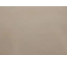 Beige NR plate