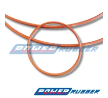Oring PFA