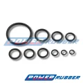 Set hochtemperaturbeständiger O-Ringe