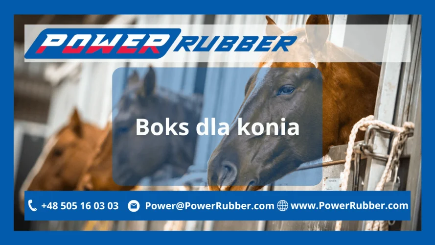Boks dla konia