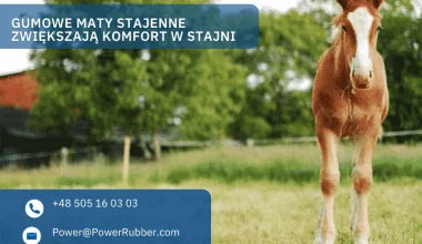 Gumowe maty stajenne zwiększają komfort w stajni