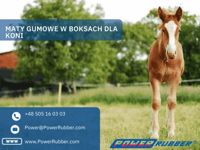 Gummimatten in Pferdeboxen