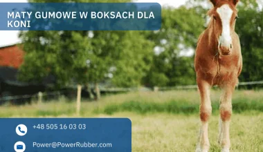 Maty gumowe w boksach dla koni