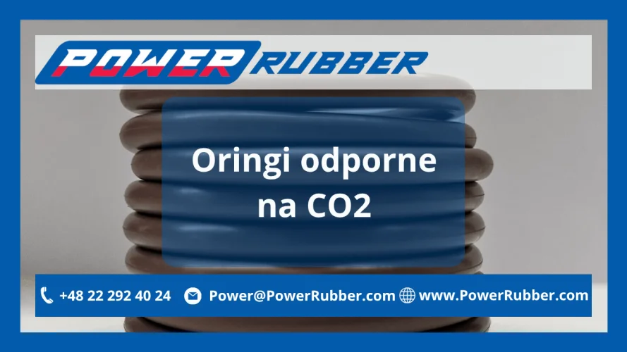 Joints toriques résistants au CO2