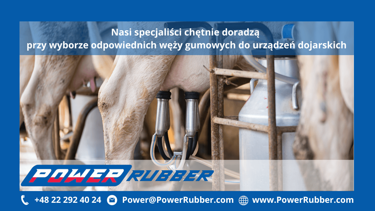 Gumowe przewody mleczne